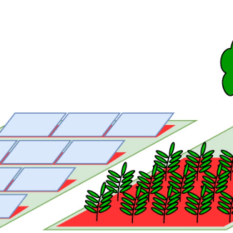Solar Power Makes Removing CO2 From Air Cheaper Than Biomass - Image 2