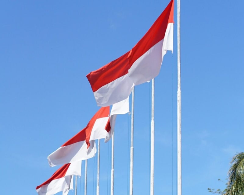 Indonesia Adds 546 MW of Solar Power in One Year