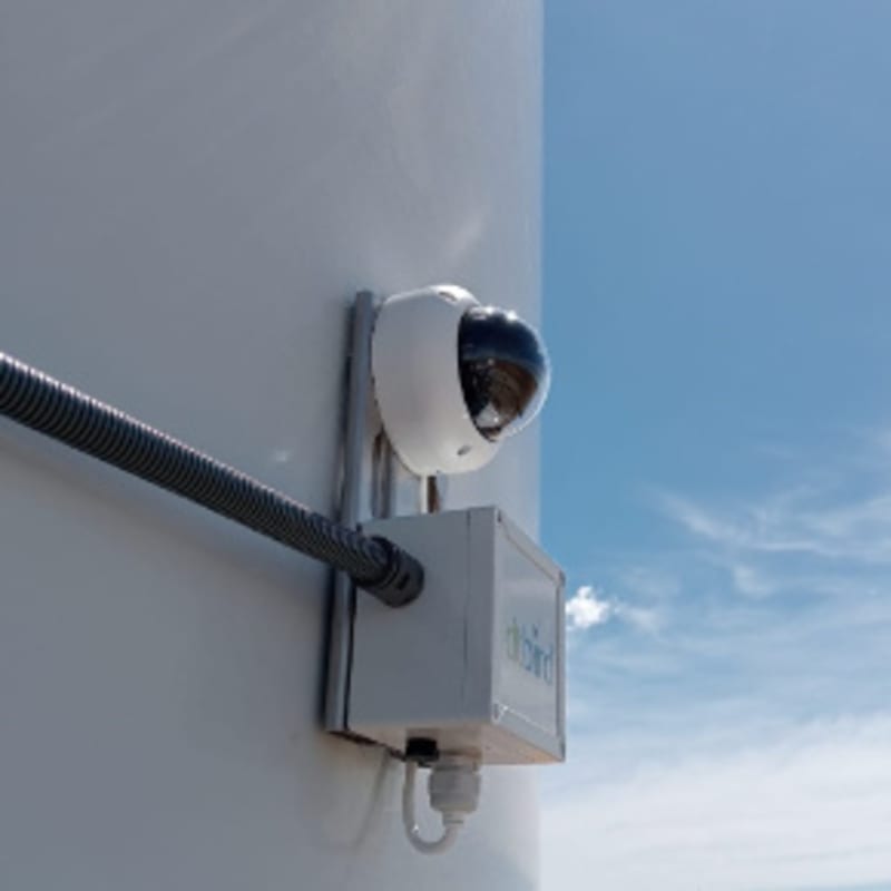 Wind Farm in Djibouti Uses AI to Protect Birds and Bats