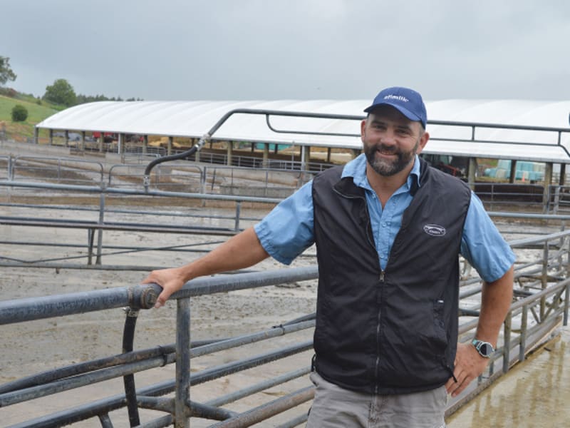 Dairy farm manager working with modern technology equipment in New Zealand pastoral setting
