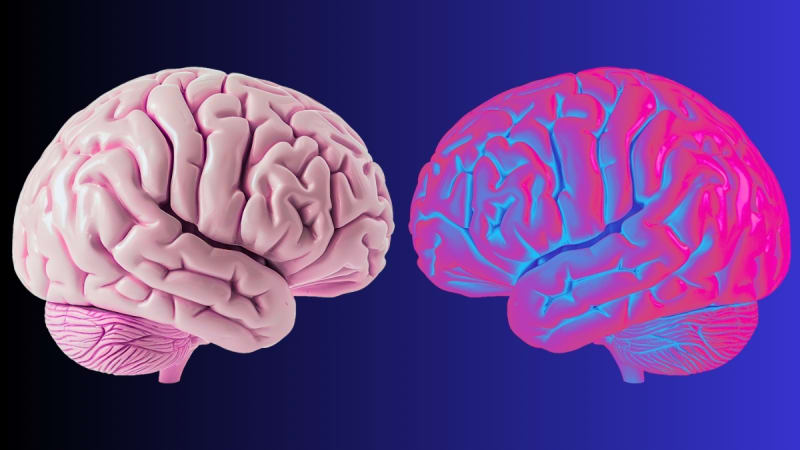 Scientists Discover Brain Waves That Define Your Body Sense