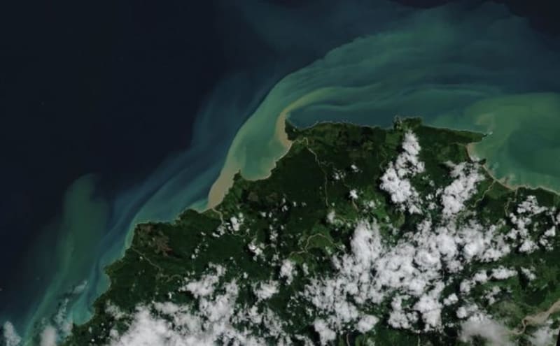 Scientists Name 'Darkwaves' That Harm Ocean Life - Image 3