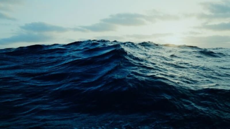 Scientists Name 'Darkwaves' That Harm Ocean Life - Image 2
