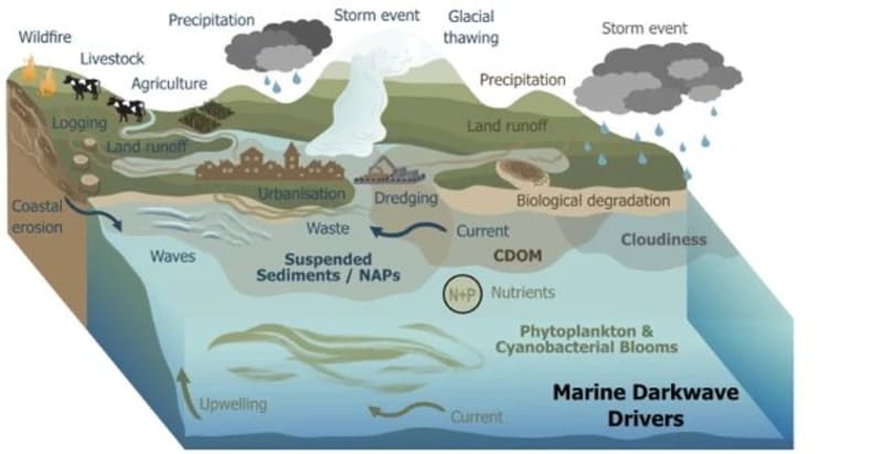 Scientists Name 'Darkwaves' That Harm Ocean Life - Image 4