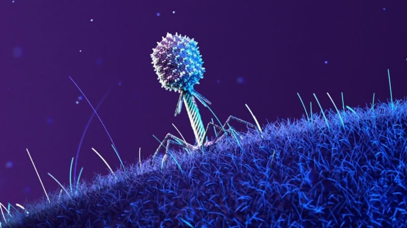 Space Viruses Could Fight Drug-Resistant Infections on Earth