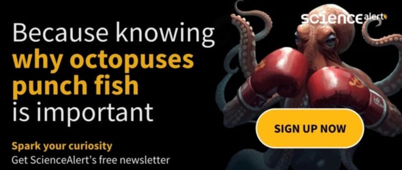 307-Million-Year-Old Fossil Ate Plants Before It Was Cool - Image 4