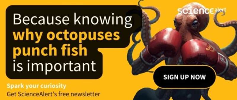 New Pill Cuts Cholesterol 60% Without Painful Injections - Image 4