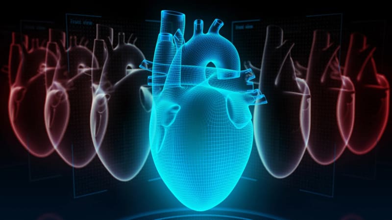 200,000 People Study Reveals Real Key to Heart Health