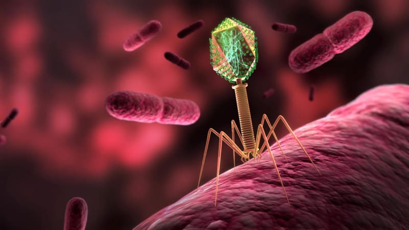 Space Viruses Unlock New Weapon Against Superbugs