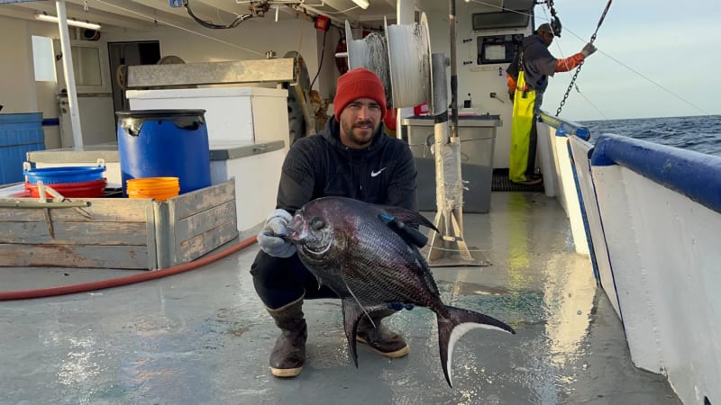 Hidden Ocean Heroes: How Mid-Sized Fish Connect Marine Ecosystems