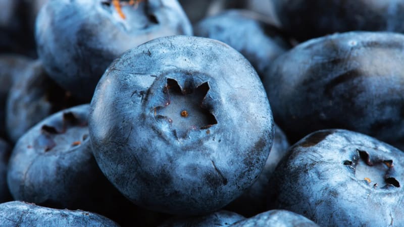 Wild Blueberries Boost Heart Health in Hours, Study Finds