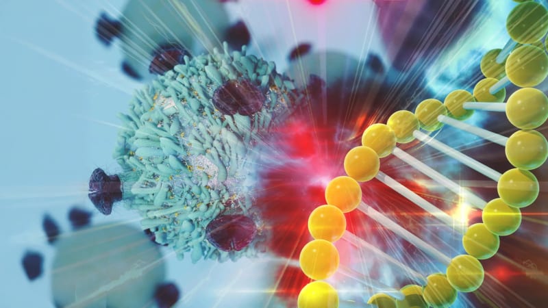 Scientists Uncover Potential Breakthrough in Cancer Cell Repair Mechanisms