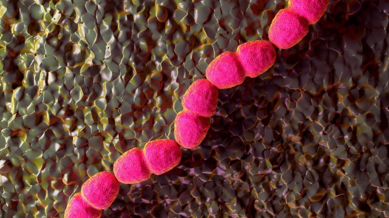 Scientists Find Why Wounds Won't Heal and How to Fix Them