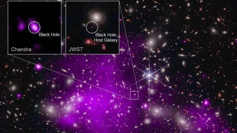 Dark Stars May Solve Universe's Biggest Early Mysteries