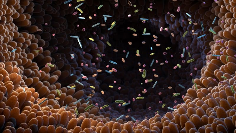 Hidden Gut Bacteria Linked to Health in 39 Countries