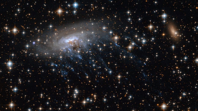 Spiral galaxy with blue tentacle-like streams of gas and stars trailing behind it