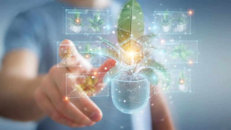 Plants Steal Bacteria's Tricks to Make Life-Saving Drugs