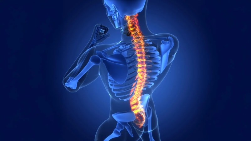 Brain Cells Far From Injury Site Help Heal Spinal Cords