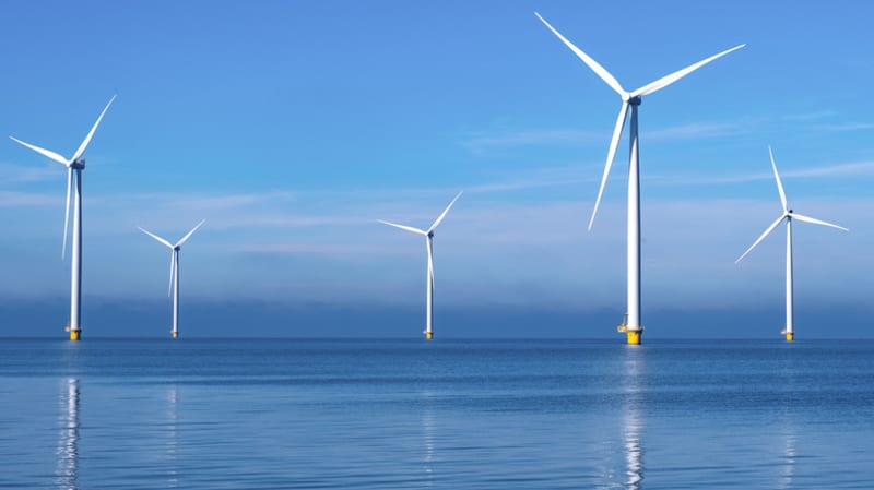 Netherlands Wind Farm Builds Reef to Protect Marine Life - Image 2