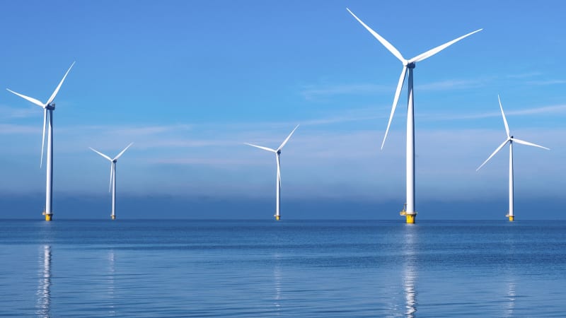 Netherlands Wind Farm Builds Reef to Protect Marine Life