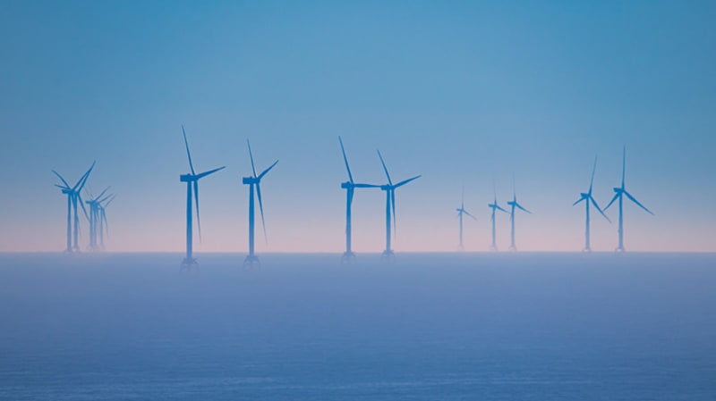 Offshore Wind Farms Double as Thriving Underwater Refuges - Image 2