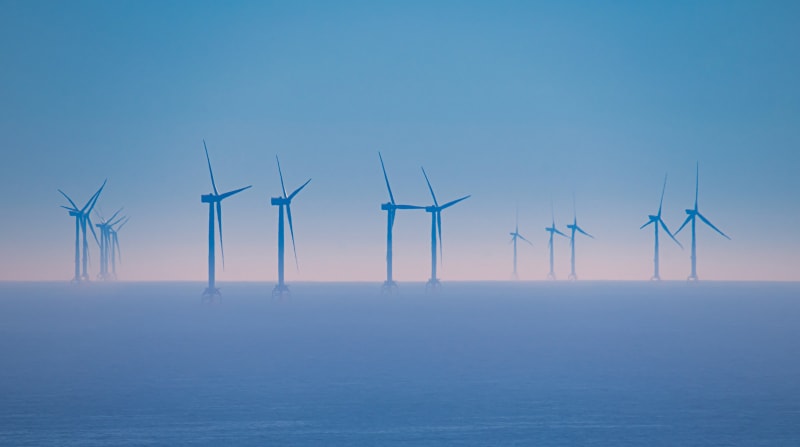 Offshore Wind Farms Double as Thriving Underwater Refuges