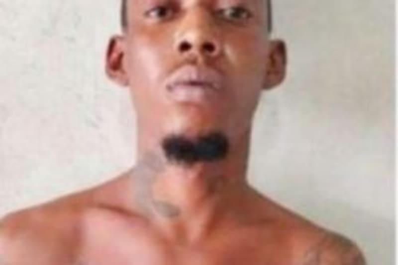 Guyana Invests $360K in Youth-Led Forest Restoration - Image 3