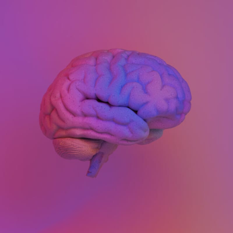 Guinea Worm Cases Drop to Just 10 Worldwide in 2025 - Image 2