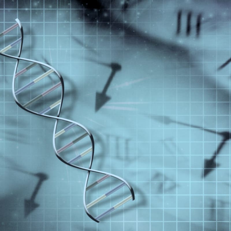 Your Genes Shape 50% of Your Lifespan, Study Finds - Image 2
