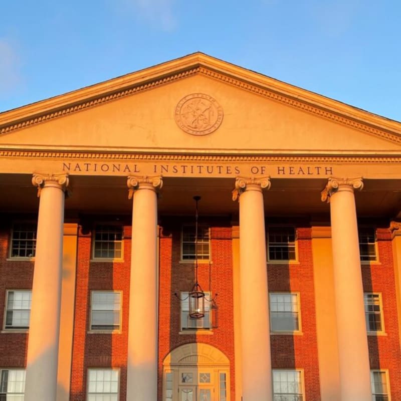 NIH Creates First Plan for Disability Health Research - Image 2