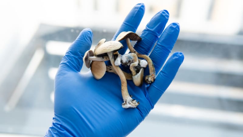 Psilocybin Depression Treatment Nears FDA Approval