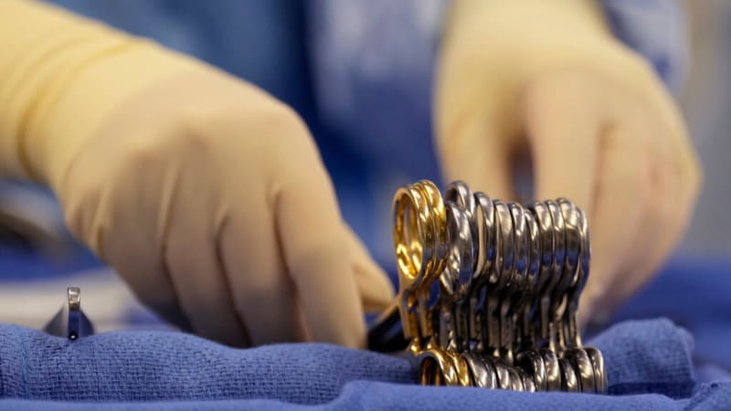Medical professionals preparing organs for transplant surgery in sterile operating room environment
