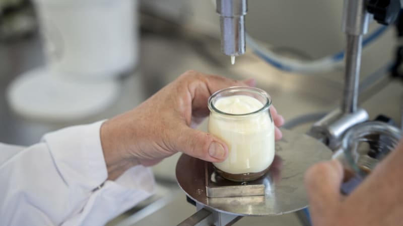 Researchers Working Together to Help Americans Make Healthier Food Choices