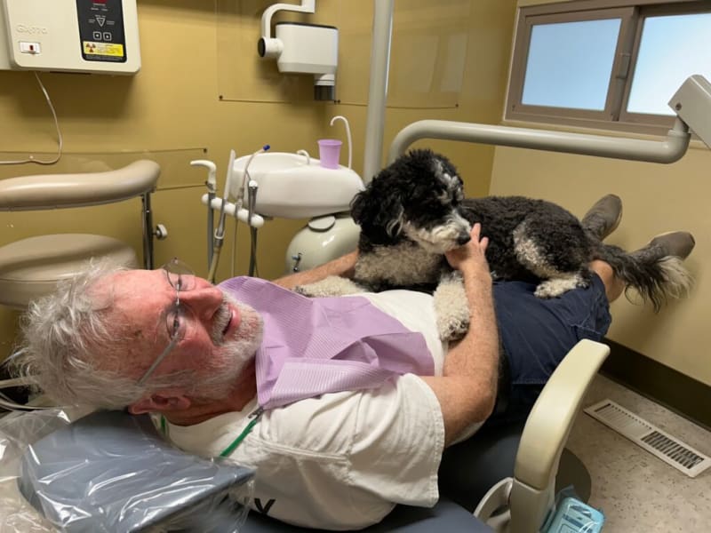 Therapy Dogs Cut Dental Anxiety by 40% Nationwide - Image 3