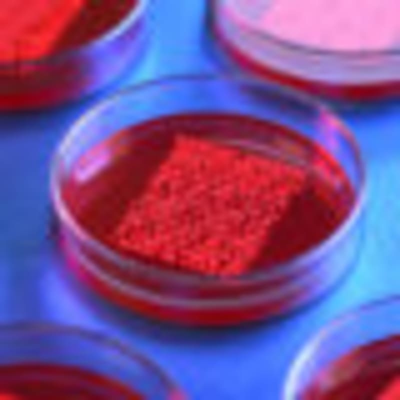 Congress Boosts NIH Budget $415M Despite Trump Cuts Plan - Image 3