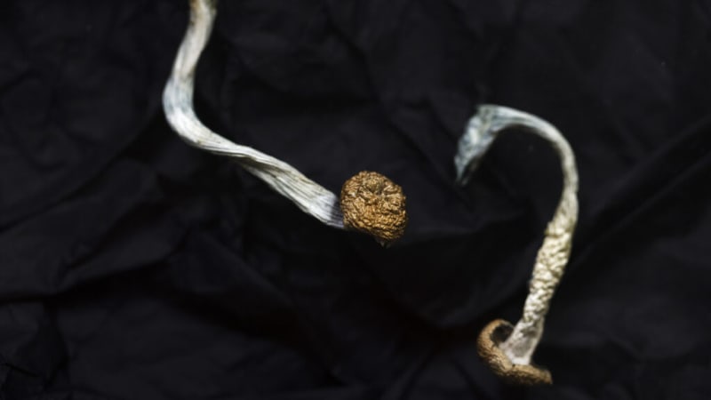 Psilocybin Drug Shows Promise for Severe Depression