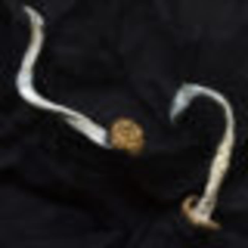 Psilocybin Depression Treatment Nears FDA Approval - Image 5