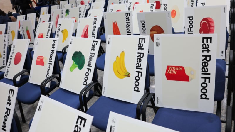 Government AI Tool Critiques Its Own Food Pyramid