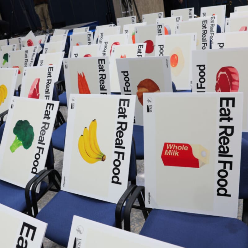 Government AI Tool Critiques Its Own Food Pyramid - Image 2