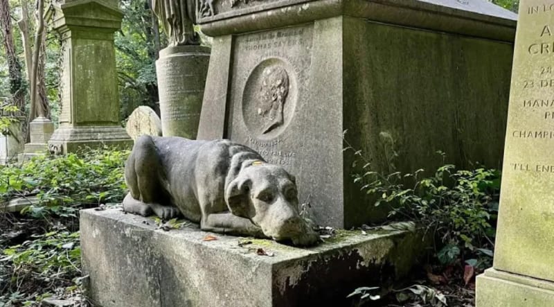 K-9 Margo Finds Missing Autistic Teen in Maryland Snowstorm - Image 3