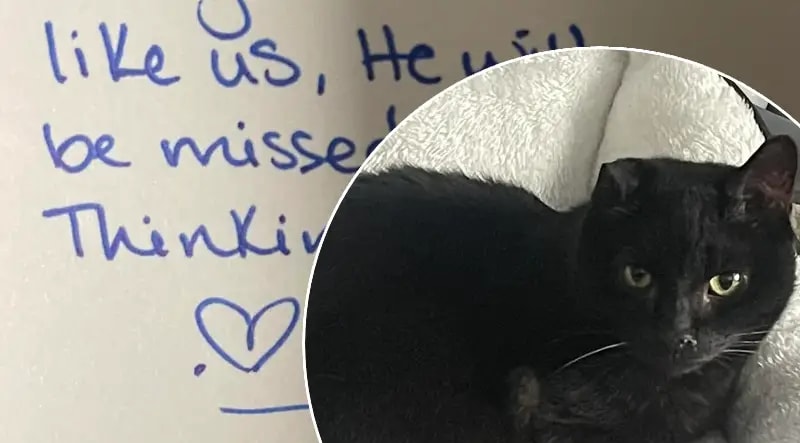 7-Year-Old Saves Dad After Fall in Lynwood Home - Image 5