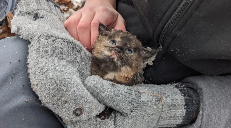 Med Student Surprises Stroke Survivor Dad With Dream Trip - Image 2