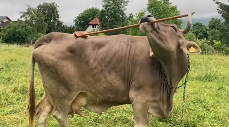 Med Student Surprises Stroke Survivor Dad With Dream Trip - Image 4