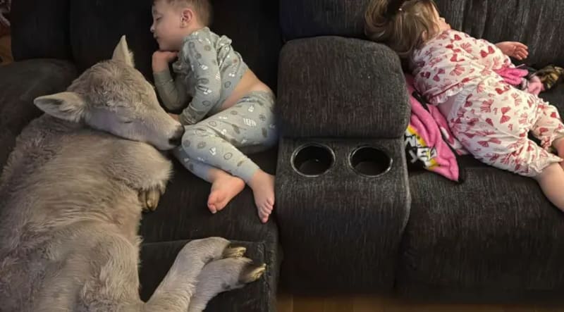 Med Student Surprises Stroke Survivor Dad With Dream Trip - Image 3