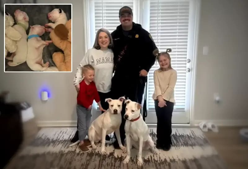 Firefighter Adopts Second Puppy He Rescued From Georgia Fire