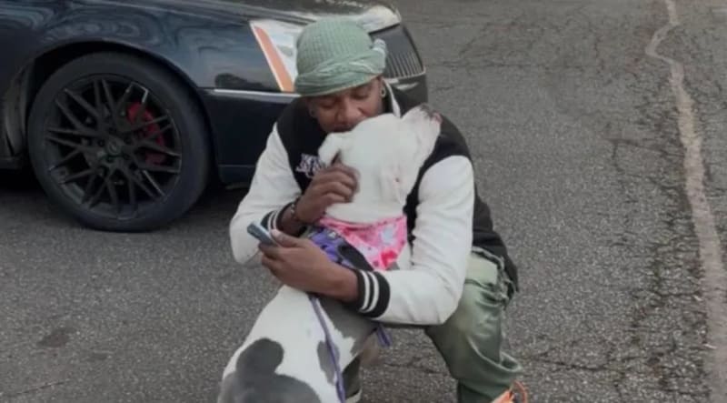 Neighbor Finds Lost Family Diamond Lodged in His Water Shoe - Image 5