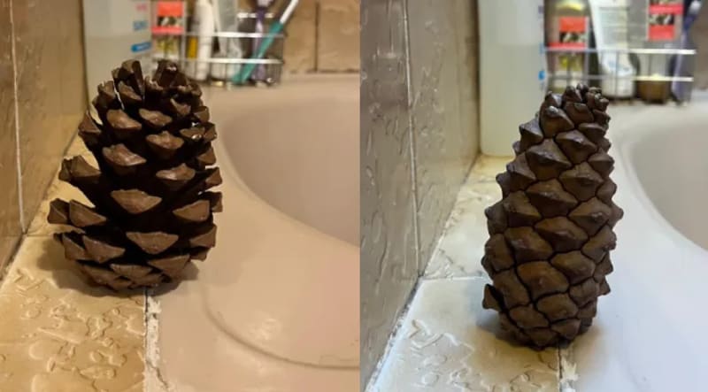 Neighbor Finds Lost Family Diamond Lodged in His Water Shoe - Image 2