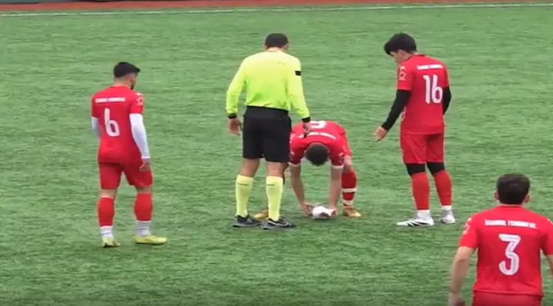Soccer Captain Performs CPR on Seagull During Championship
