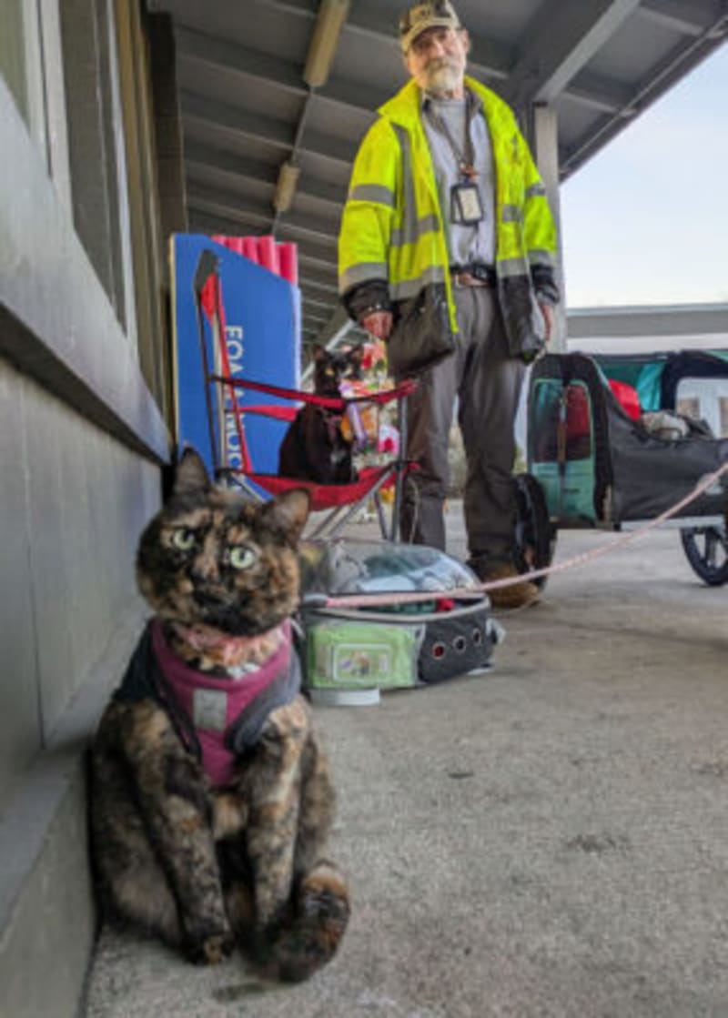Lebanon Man Volunteers 7,000 Hours With His Two Therapy Cats - Image 5