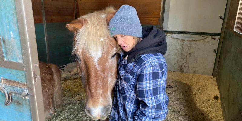37-Year Animal Rescue Seeks Volunteers to Save Sanctuary - Image 2